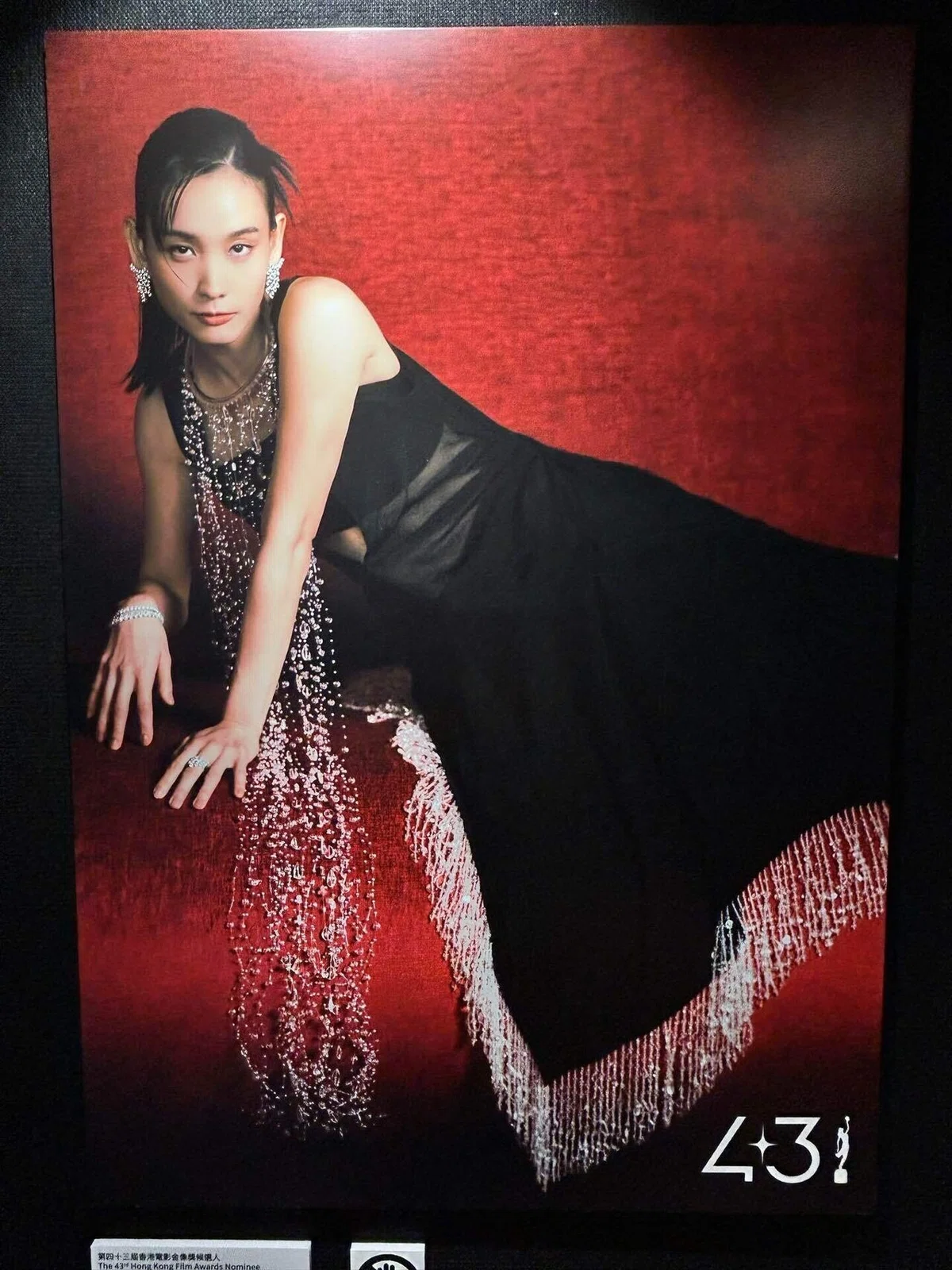 第43屆香港電影金像獎頒獎典禮 Hong Kong Film Awards on April 27 