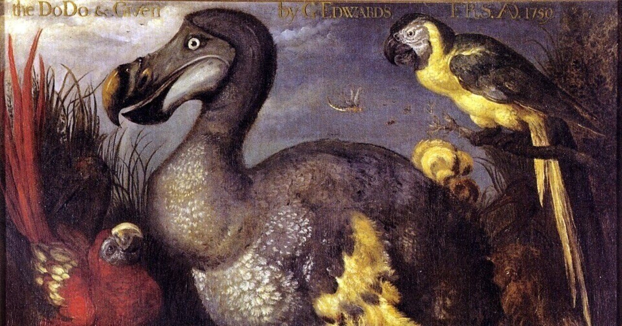 Birds : The Art of Ornithology　絶滅鳥 Birds : The Art of Ornithology 絶滅鳥 Birds : The Art of