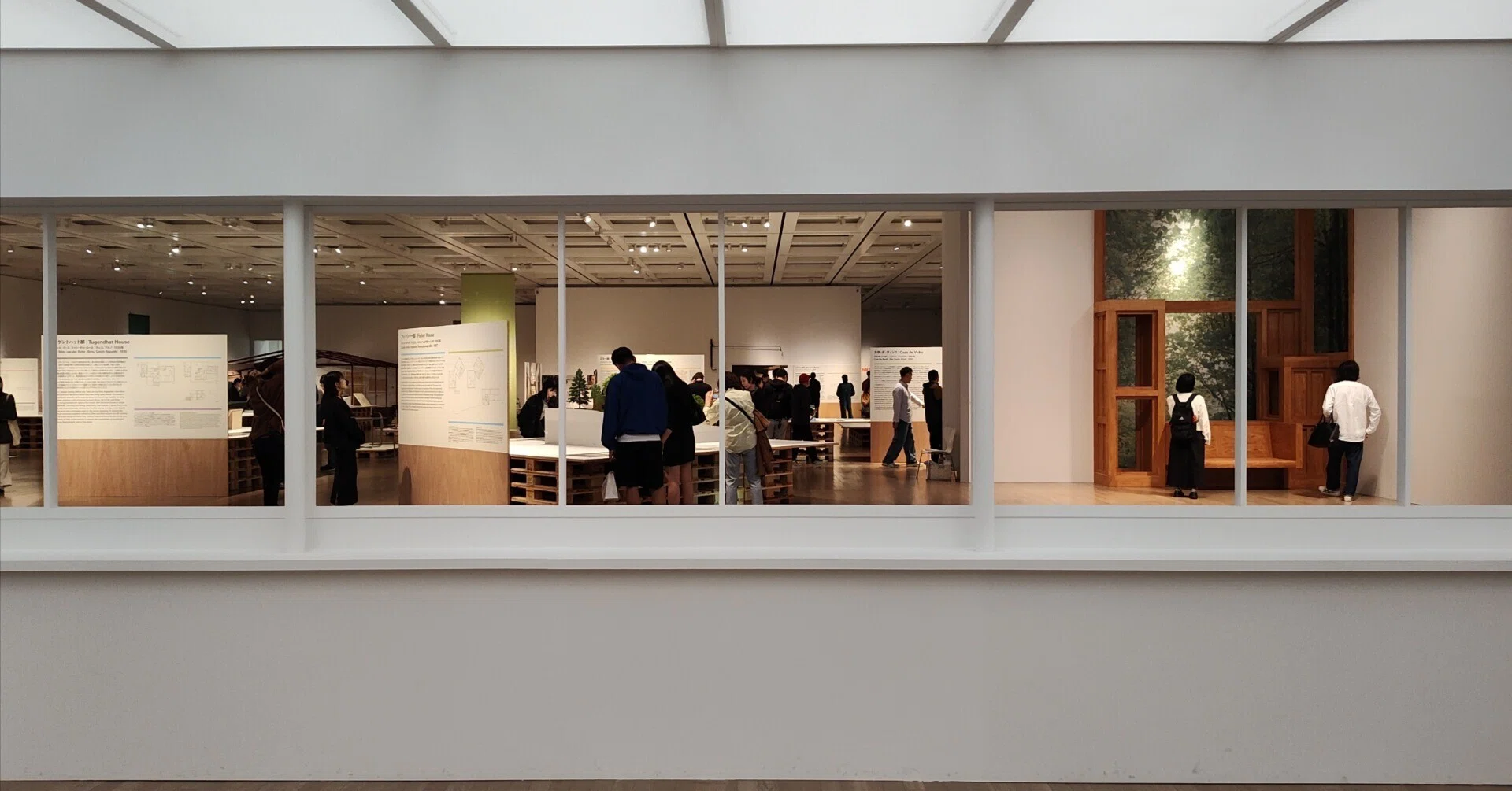 100万円超えの椅子に座れる展示「リビング・モダニティ」｜たかはしあさぎ