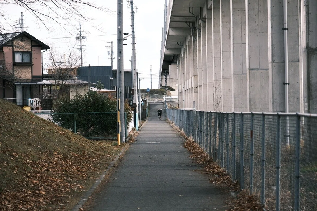 画像15