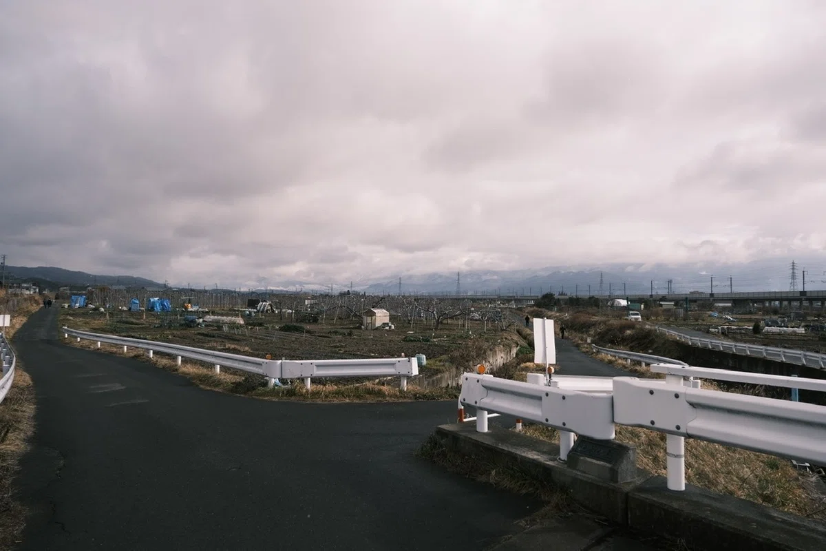 画像19