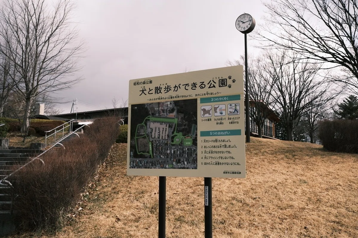 画像20