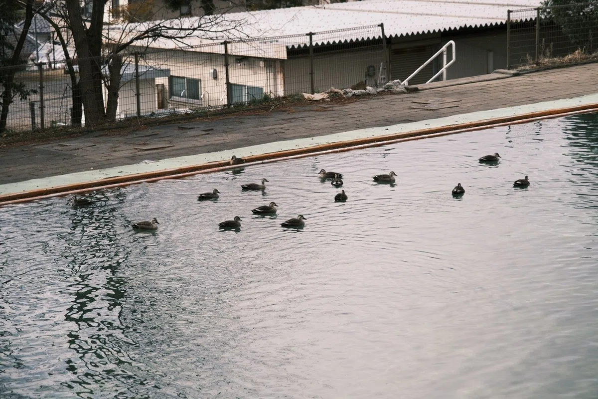 画像22