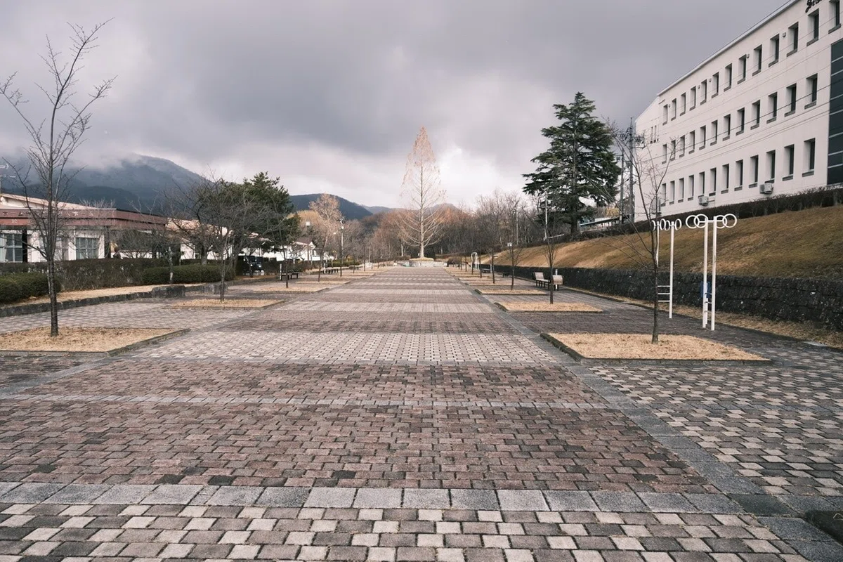 画像23
