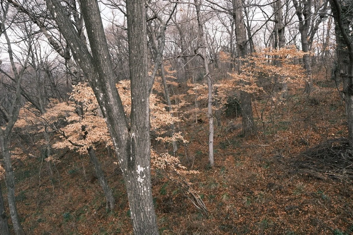 画像26