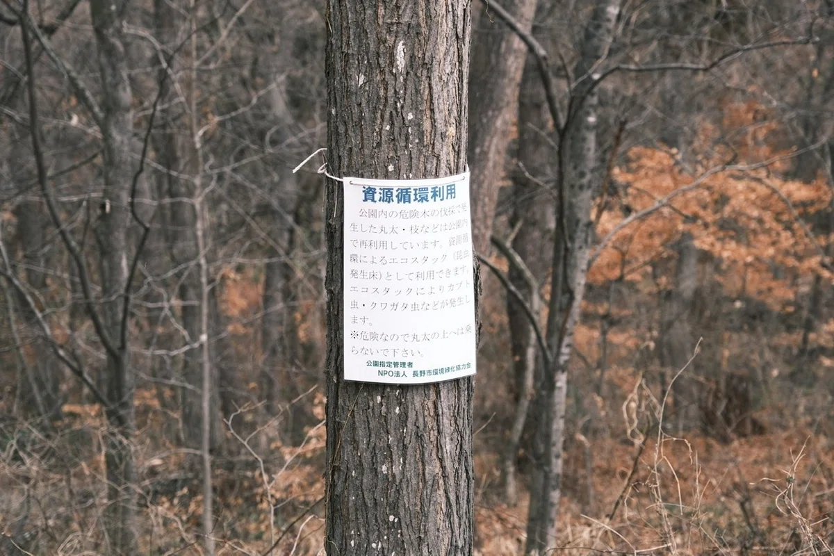 画像27