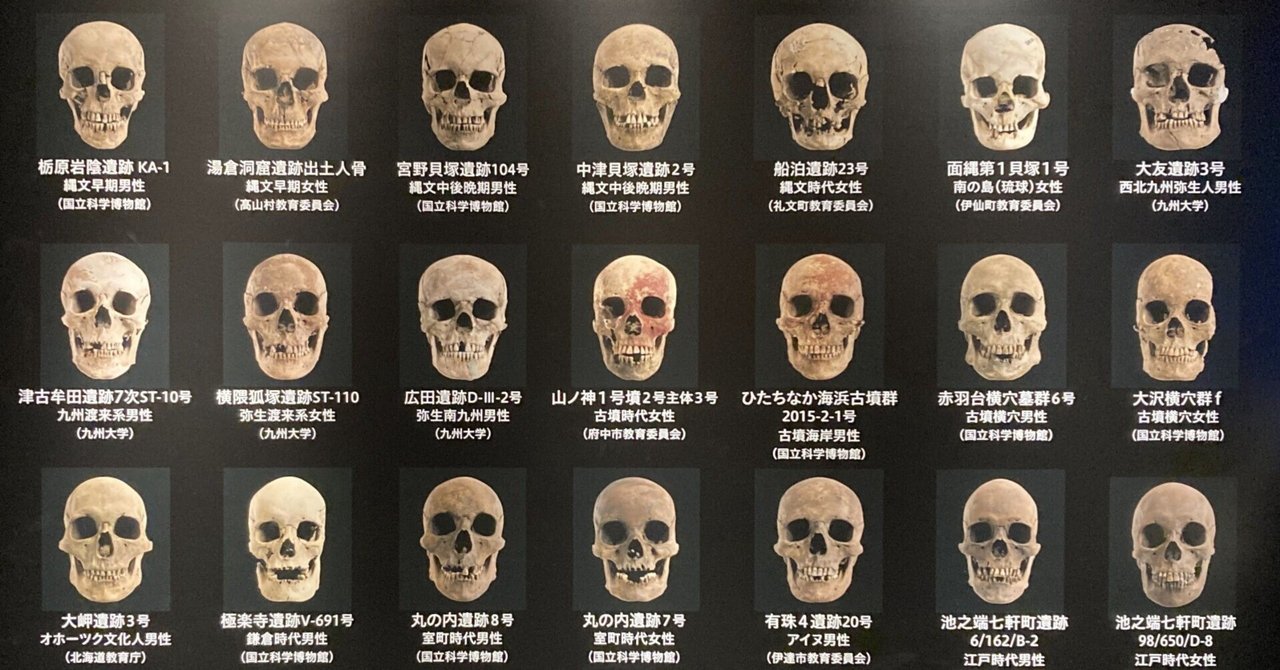 SF作家のあいだでも話題に…国立科学博物館の館長による“ホット