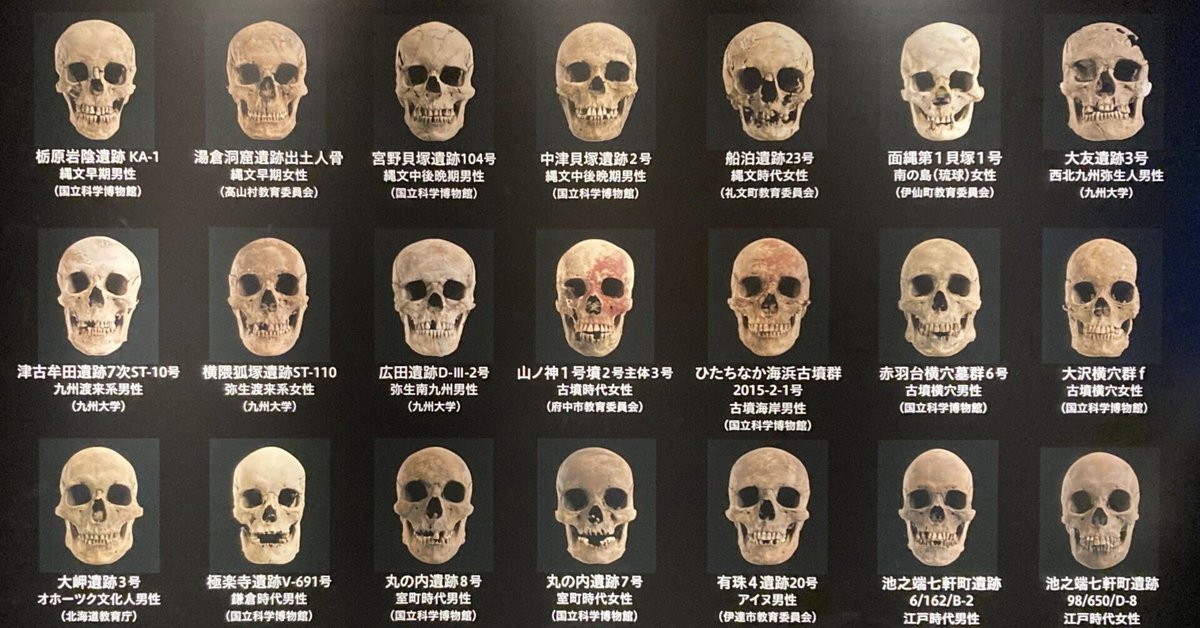 国立科学博物館 特別展「古代DNA ―日本人のきた道―」Special
