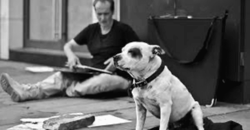 画家ジョン ドーランさんと犬ジョージの心に染み渡るお話 ひよたまり Note