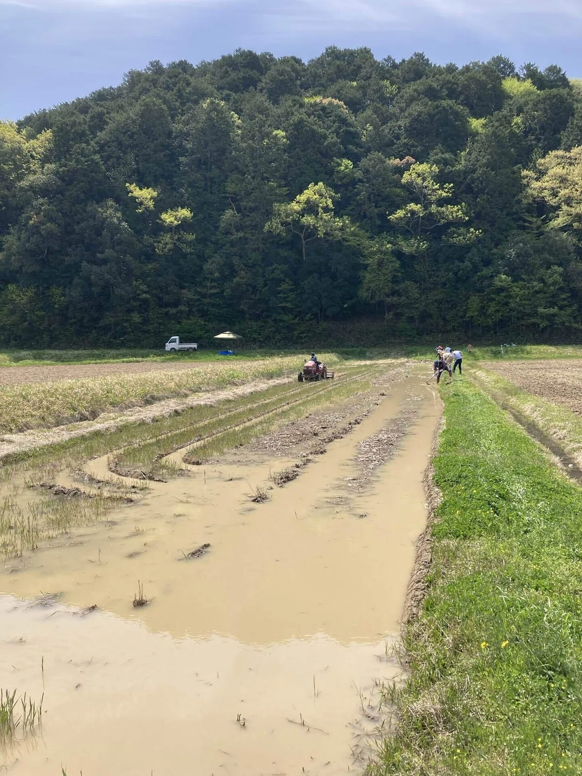 代掻きデーと田の畦ぬりは手作業で！｜ナガタンボ
