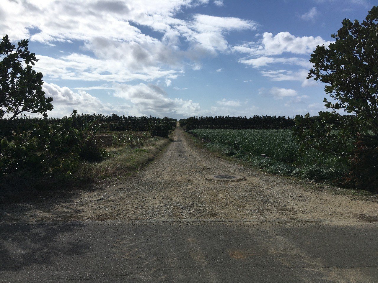 44歳女がほぼ初めて離島に行った 波照間島旅 旅の不安なんとかなった お金編 人間 Note