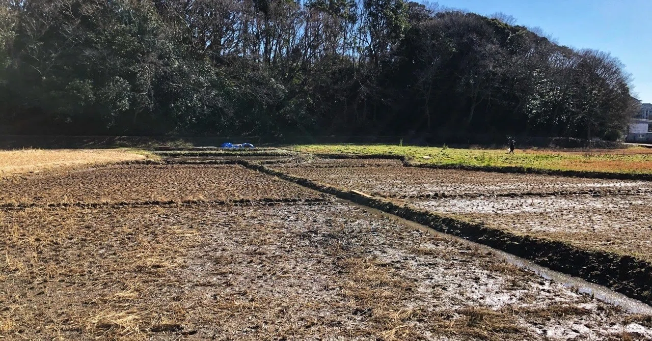 2月1日の田んぼ｜井関康人