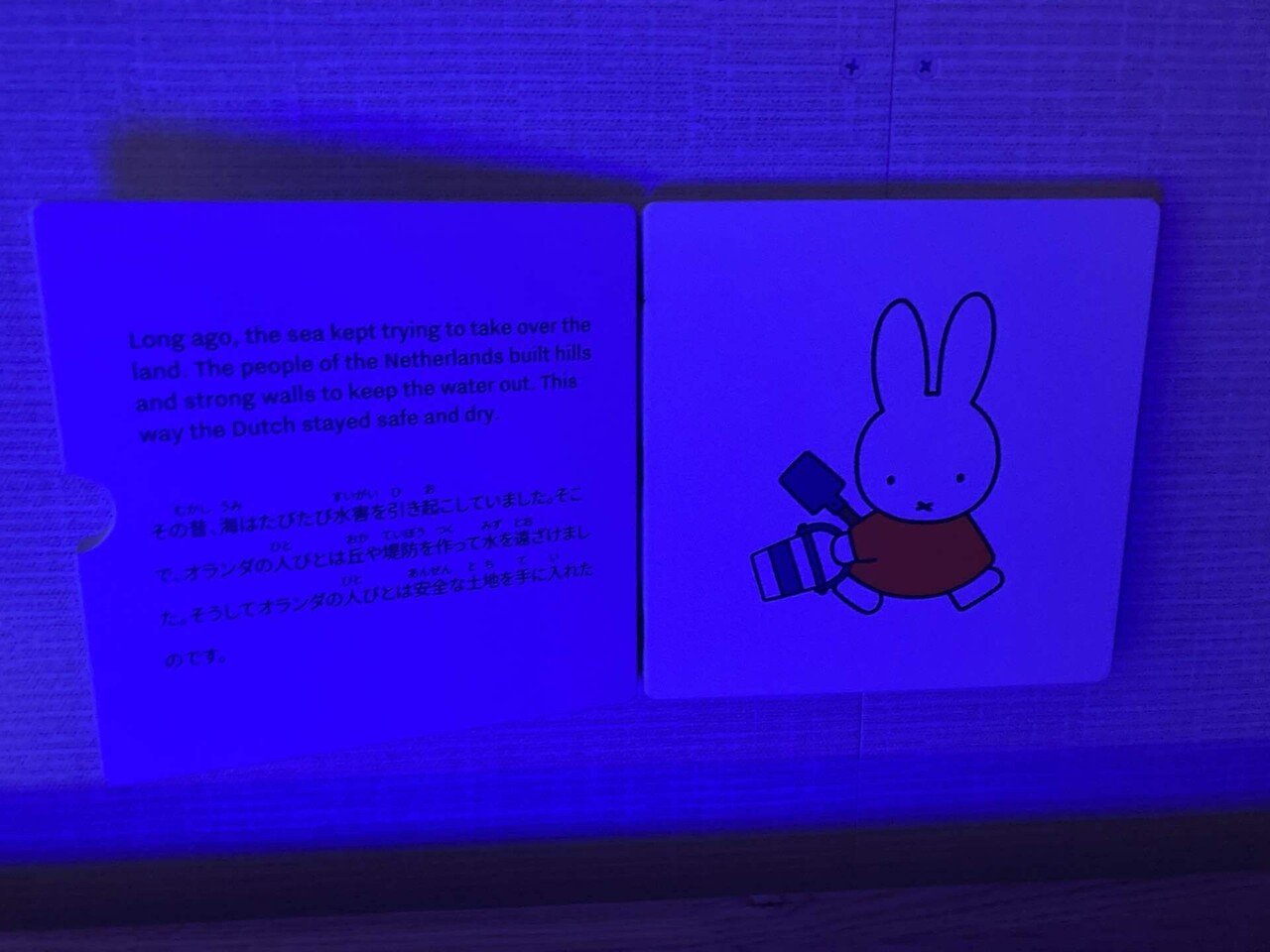 万博限定 テックワールド オランダ 記念紙幣 ミッフィー ピンバッジ