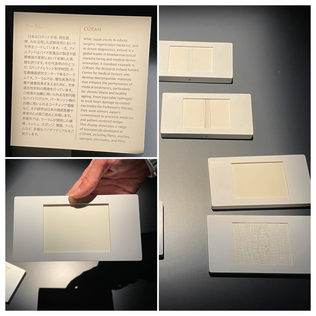 非売品　アイルランド館　万博限定　小説　本　VIP専用ギフト！！ 大阪・関西万博】#13 アイルランド｜Orika