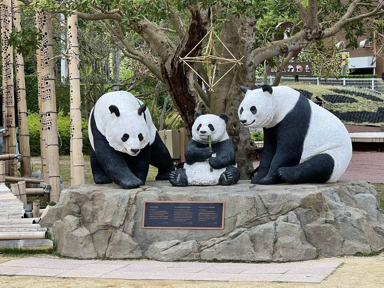 白浜の象徴、カウントダウン。｜Mr.シンゲツ