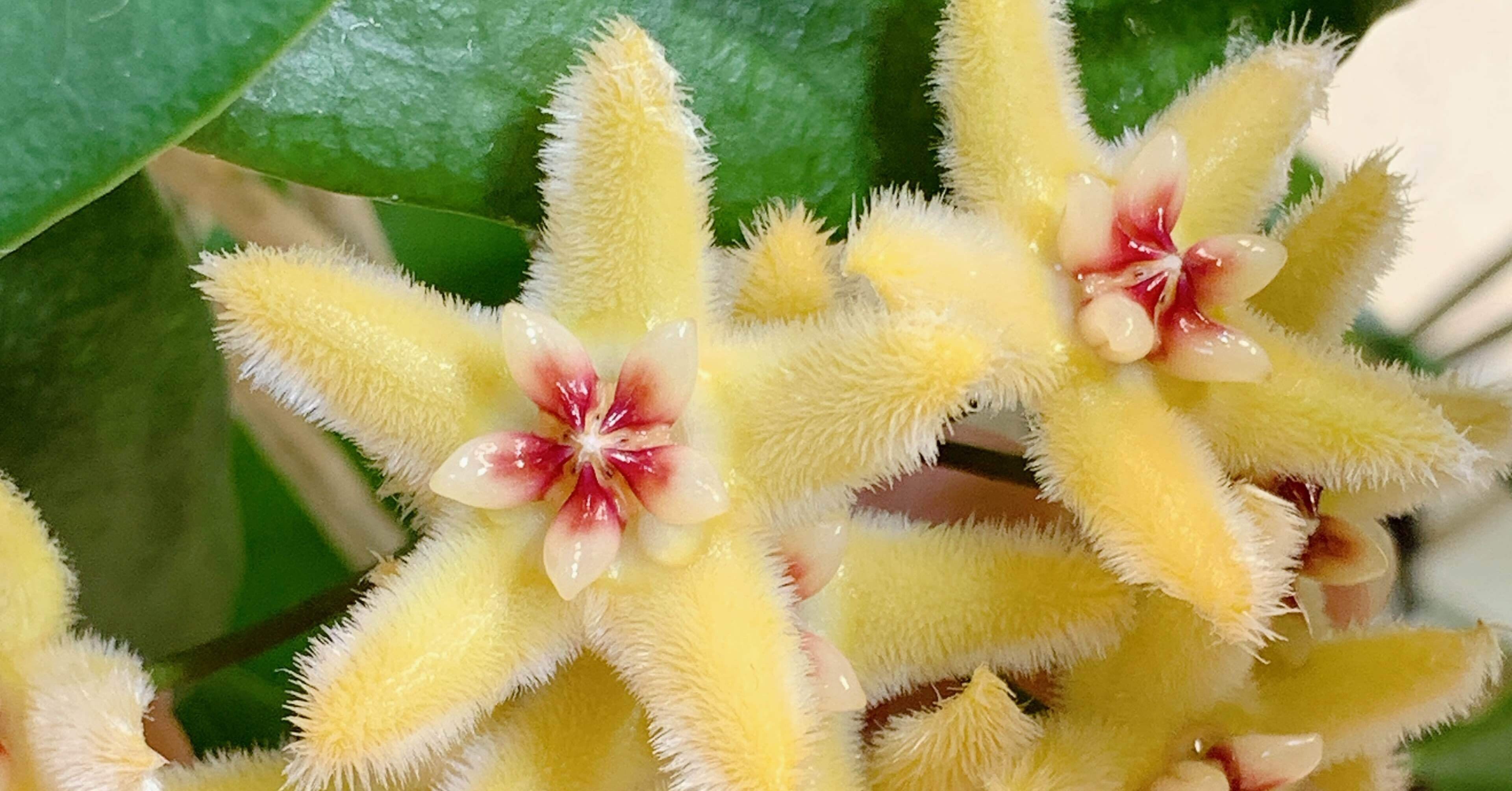 d21475f63510bed935a9d82312e8c7