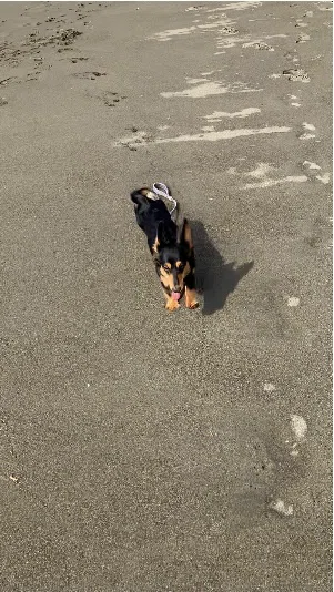 画像