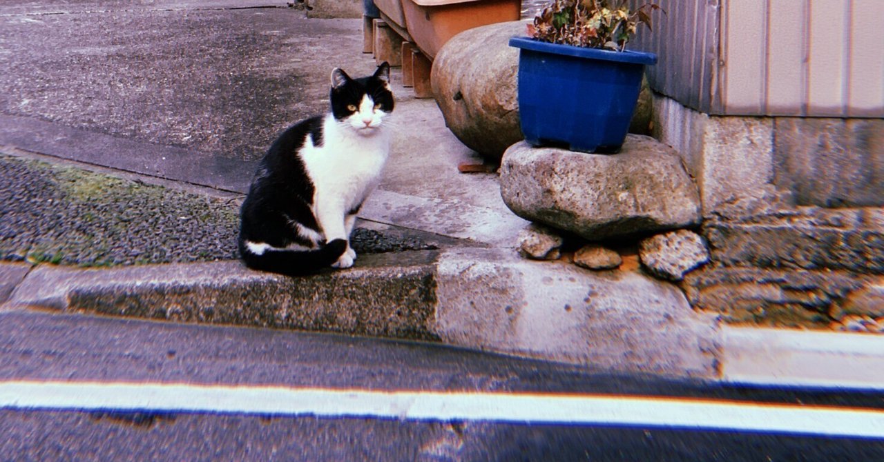 ねこねこネットワーク！ NNN ねこねこネットワーク を知ってるか｜もぐもぐ