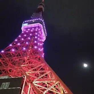 英語は左からworks