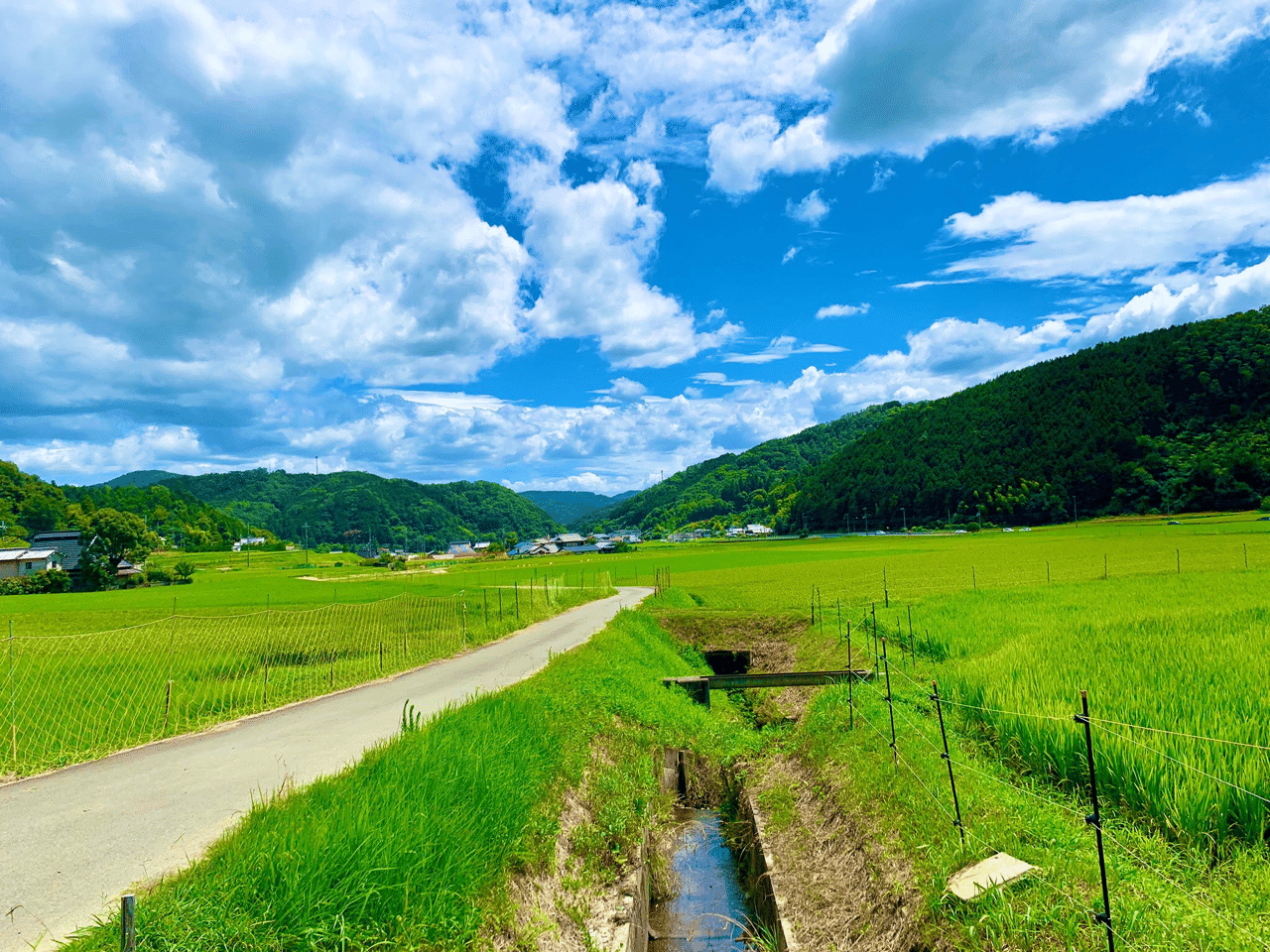 田舎育ちが語る のんのんびより の良さ 丘野 流 Note 田舎育ちが語る のんのんびより の良さ 丘野 流 Note