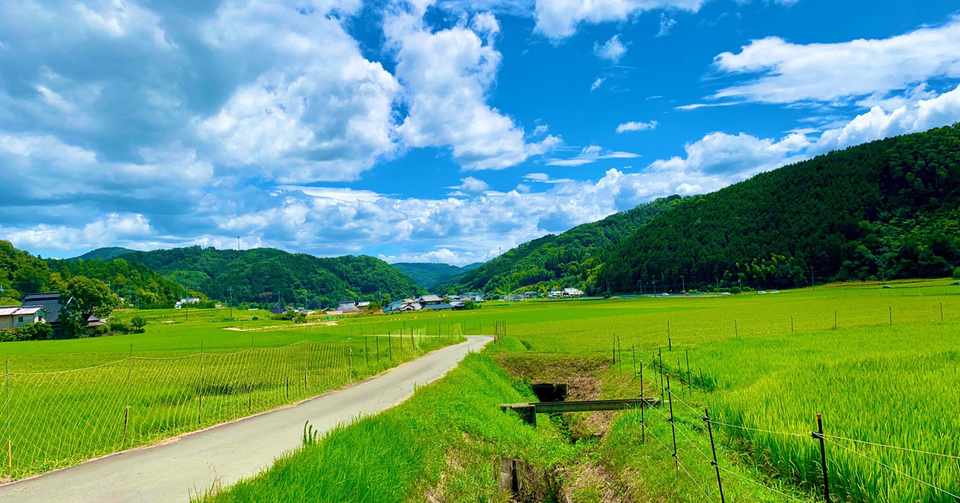 田舎育ちが語る のんのんびより の良さ 丘野 流 Note