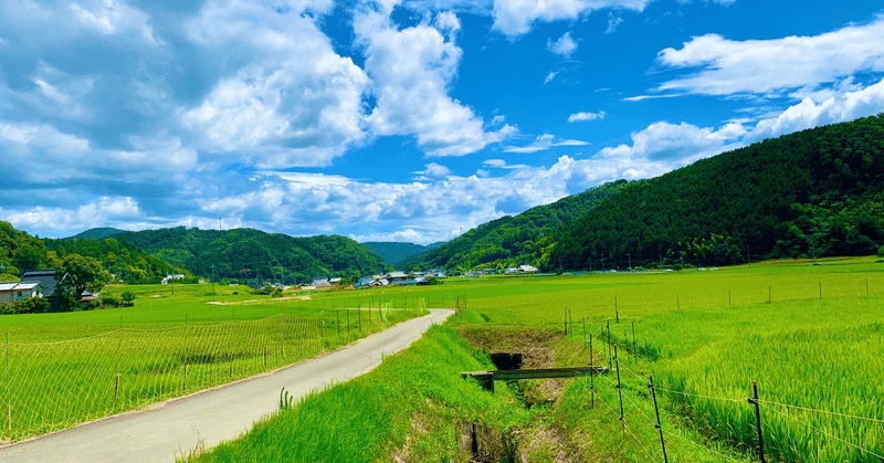 田舎育ちが語る のんのんびより の良さ 丘野 流 Note