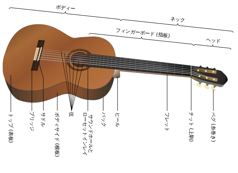 バイオリン とは Ikejiri Violin Works Note
