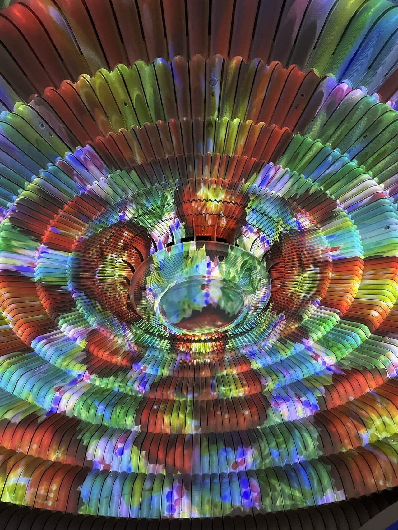 美術館から海を臨む。｜藤崎殊海（Kotomi Fujisaki）