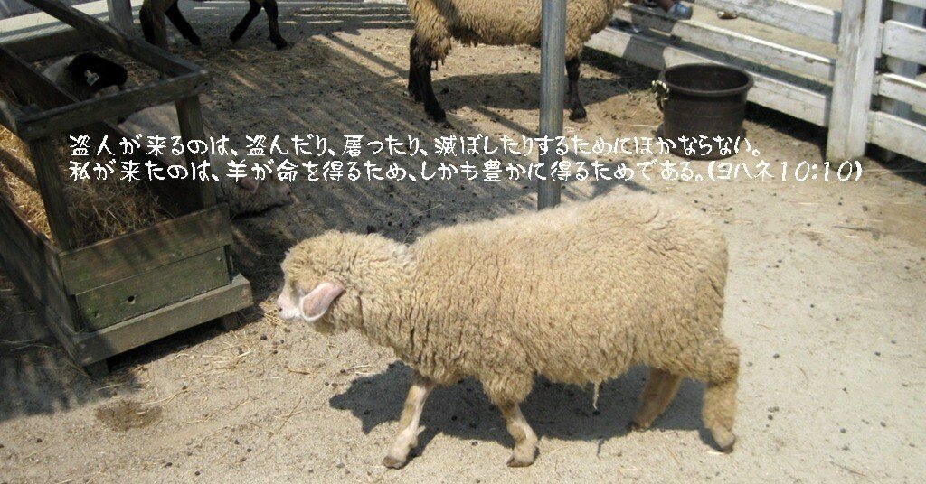 ハーンの羊飼いと羊 92_2d.jpg
