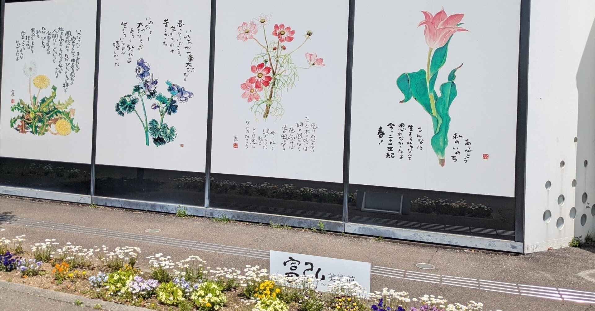 野に咲く花と命をみつめて:星野富弘の世界｜Sunny