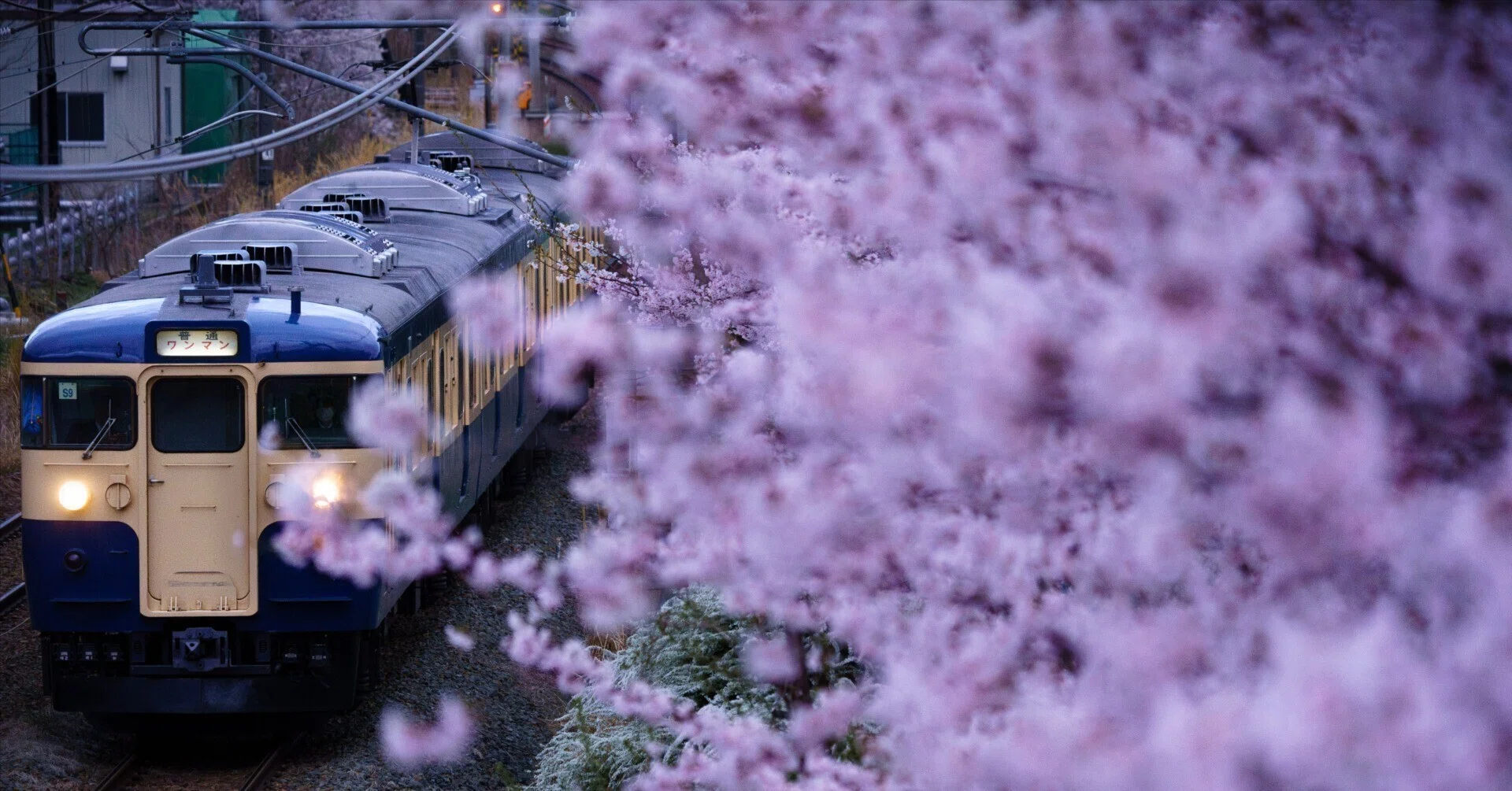 北信州に春を求めて しなの鉄道編 (2025.4.13)｜御竃