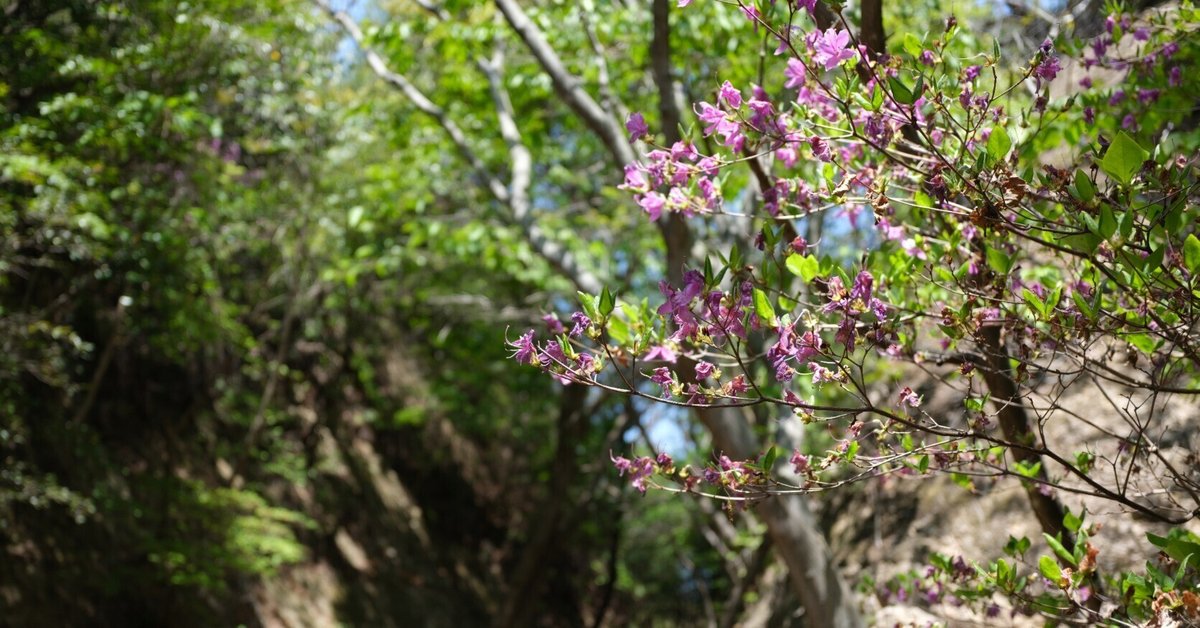 とても古いオリジナルプリントです。避暑地で撮られたもの とても古い