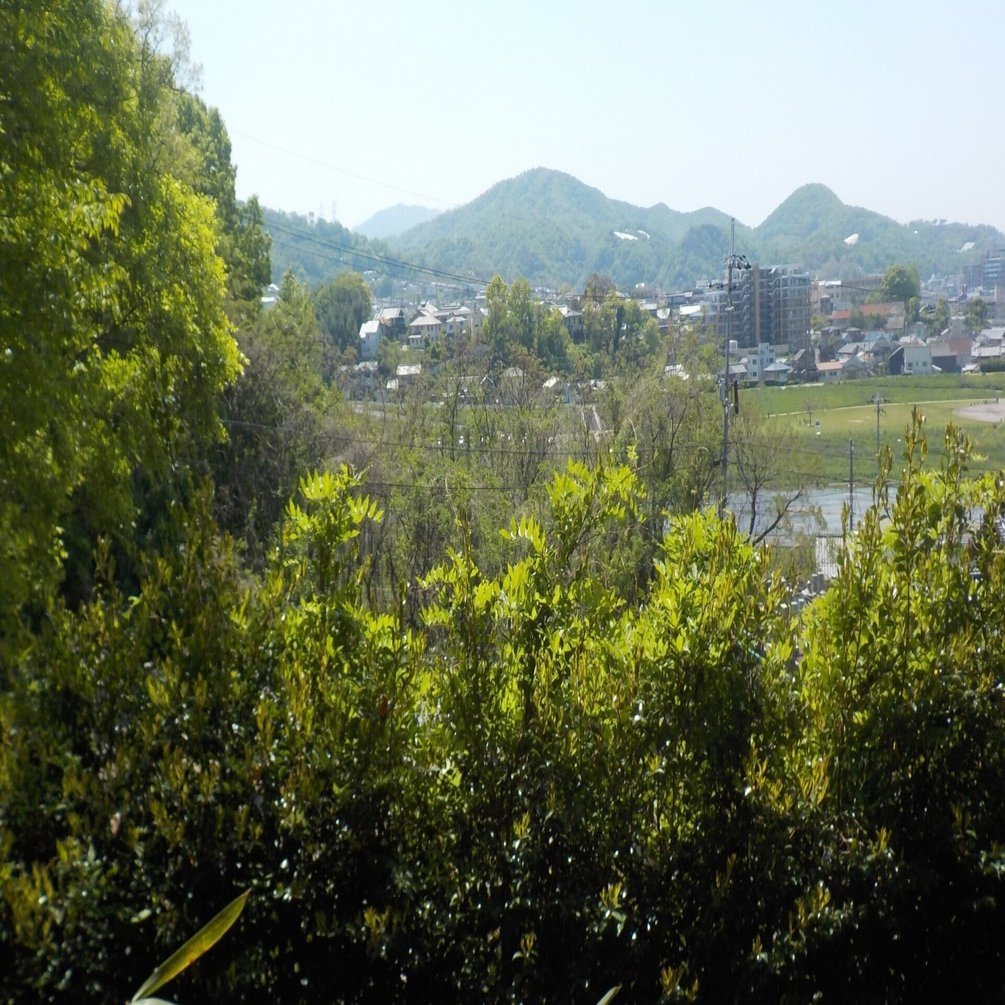 渡来（百済）人の夫婦墓か！～高井田山古墳（大阪府柏原市）～｜nitada