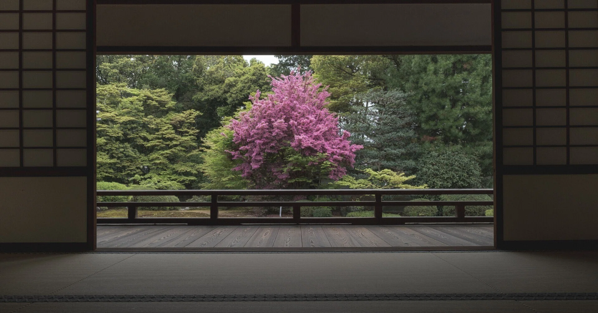 随心院：紅花常盤満作/石楠花｜日本花卉文化株式会社