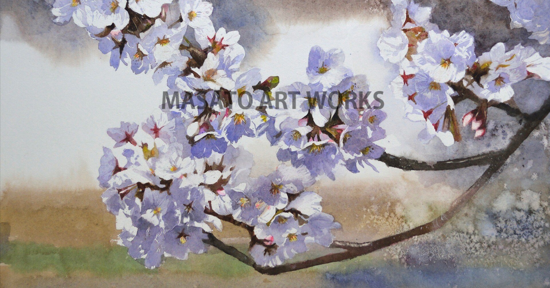 細部まで描いた”桜の水彩画”7作品をスライドショーで作りました