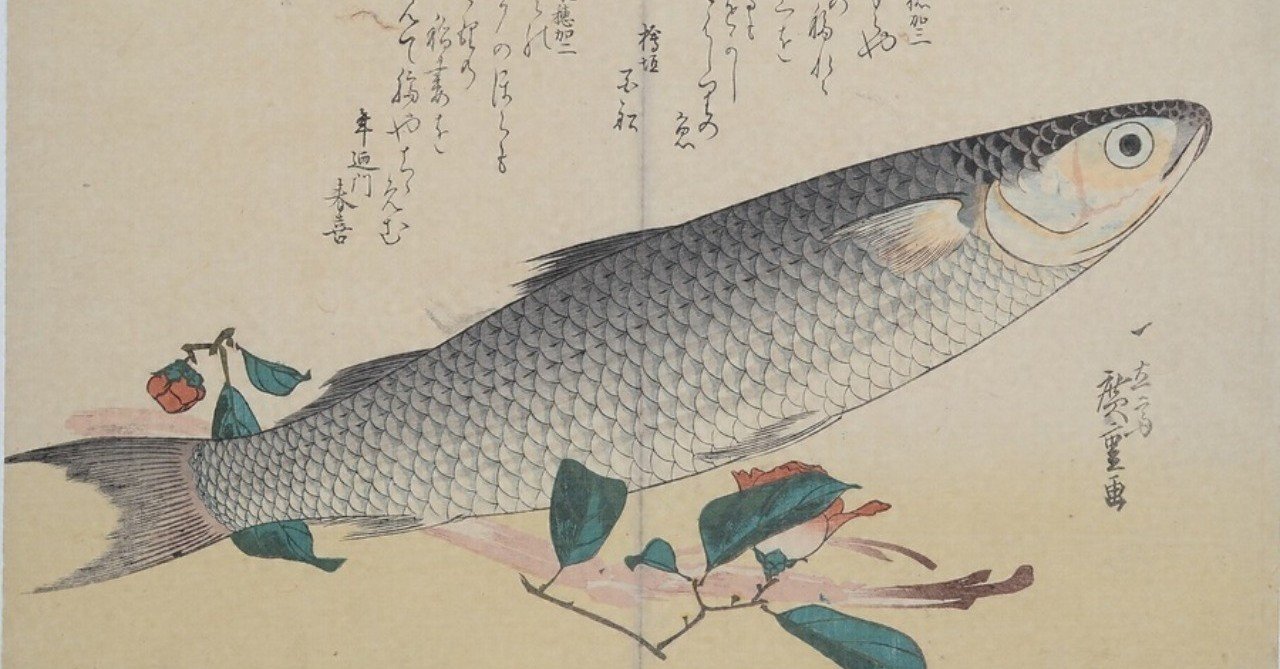 鯔がきらめく 浅瀬は春 1 鯔を愛する男 Note