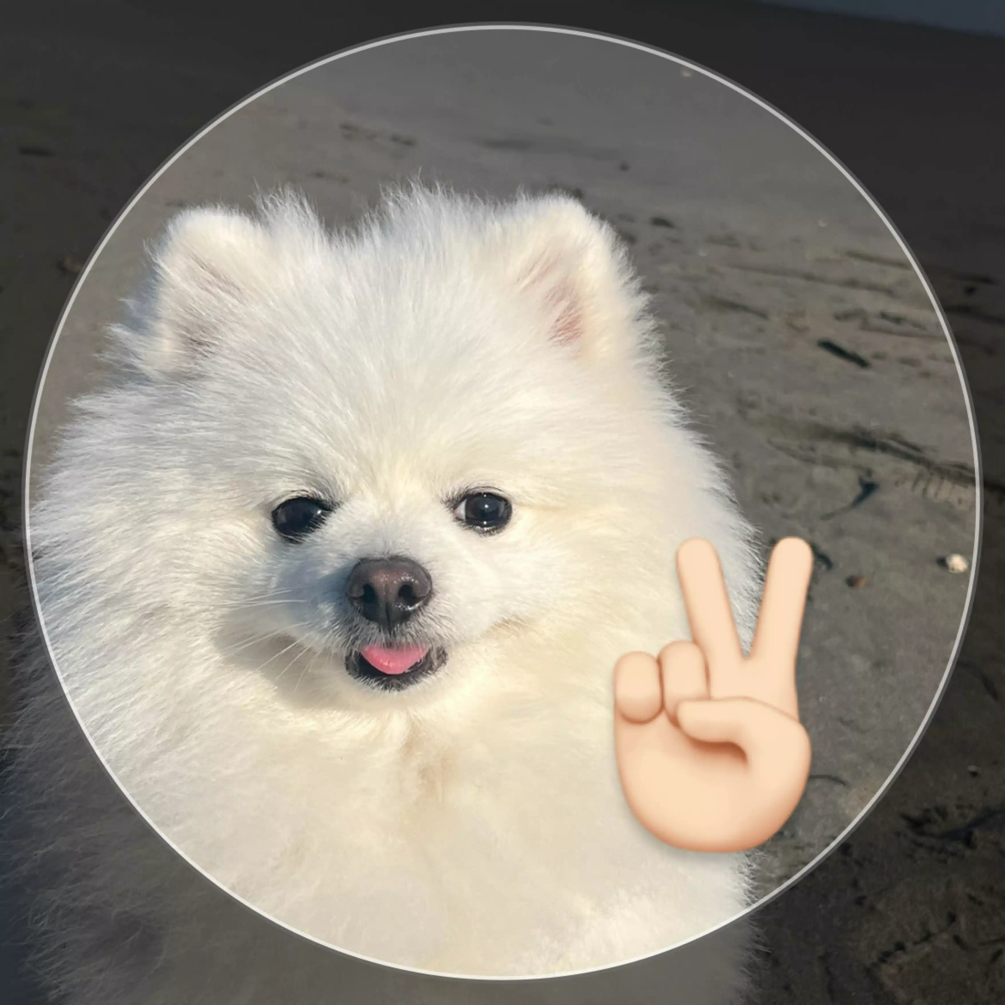 たびラニアン