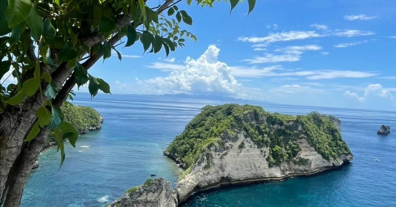 インドネシアのヌサペニダ島ってどんなところ？インドネシアの