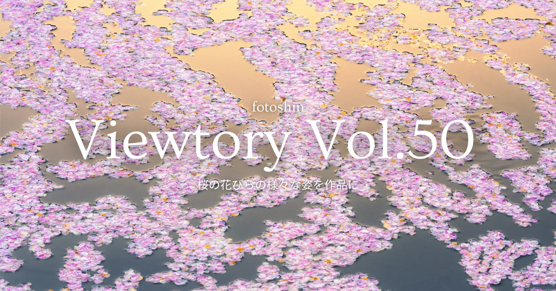 桜の花びらの様々な姿を作品に｜fotoshin