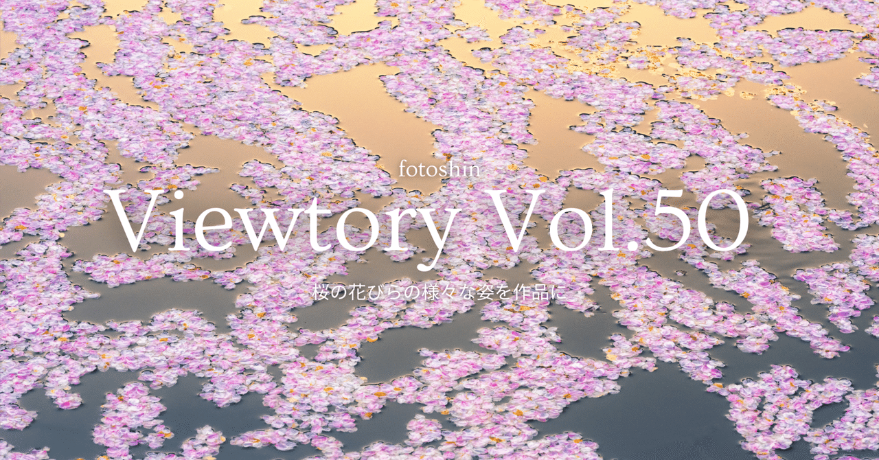 桜の花びらの様々な姿を作品に｜fotoshin