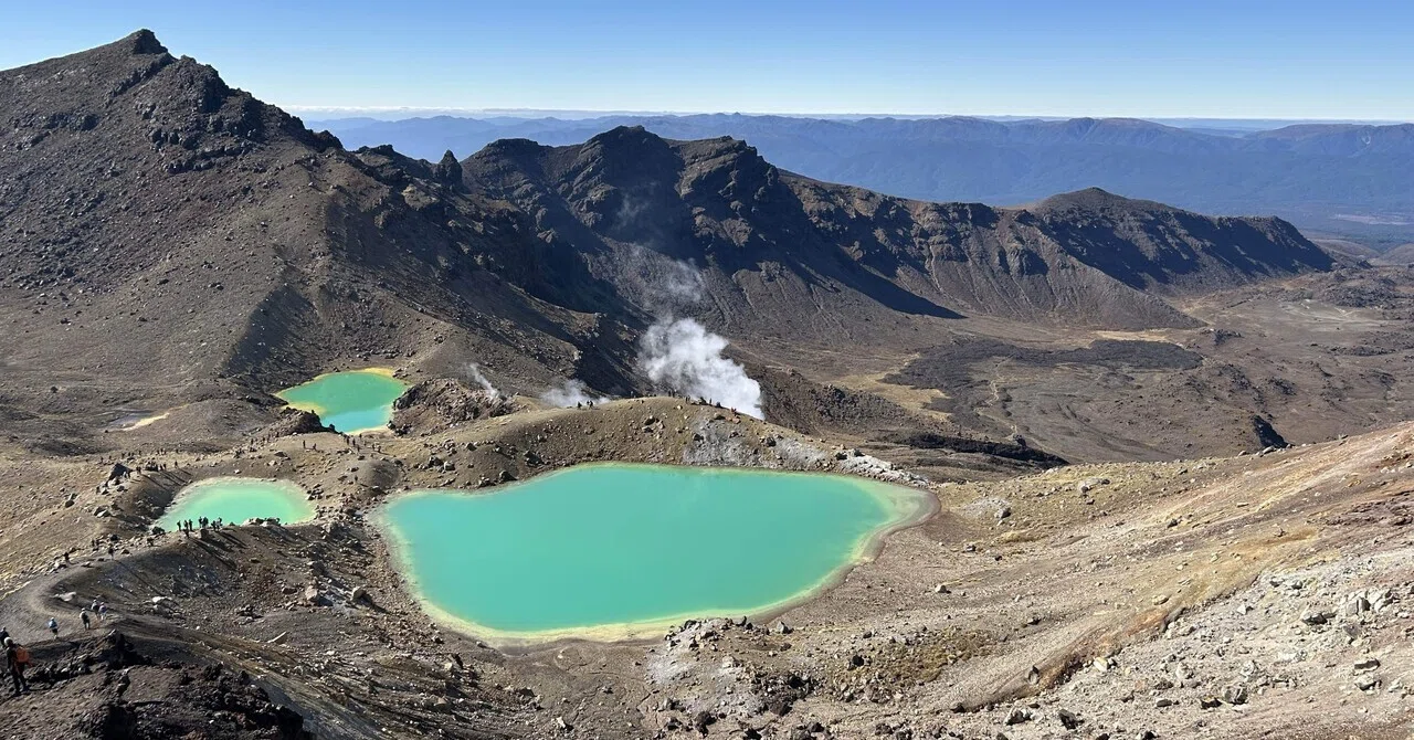 ニュージーランド北島🇳🇿ロードトリップ まとめ編【世界一周 番外編