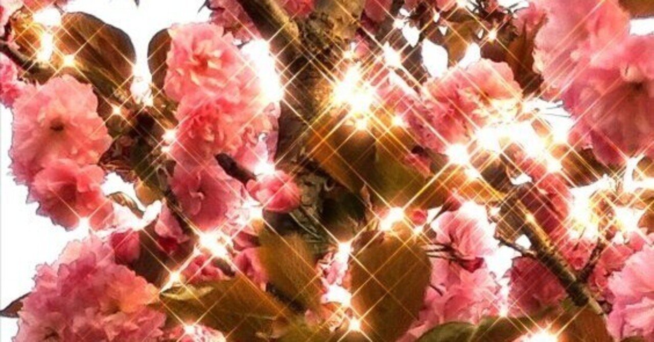 ぽっかぽか様専用❀桃龍桃鳳凰❀新月の祈り