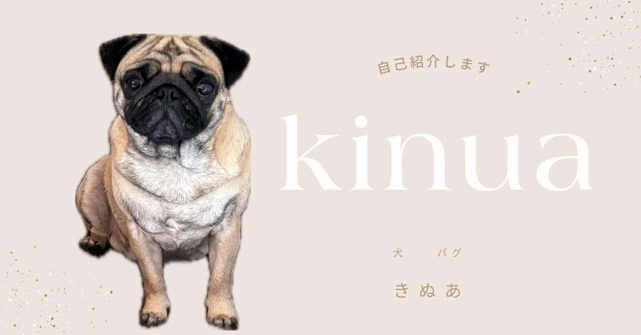 きぬあ。の由来｜きぬあ。