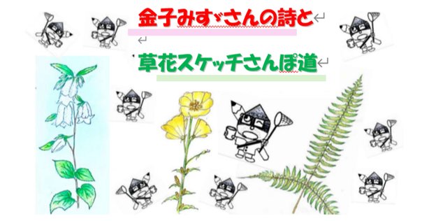 メッセゲ氏の薬草療法｜銀漢堂書林