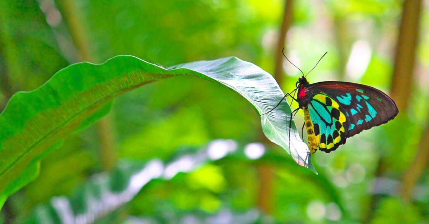 528e2f89cff406f63e303f91249c47