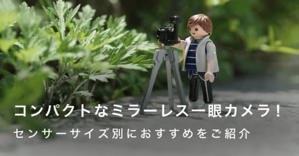 高画質！マクロレンズに変換できる！？リング！SONYミラーレス対応！簡単！初心者 高画質！マクロレンズに変換できる！？リング！SONYミラーレス