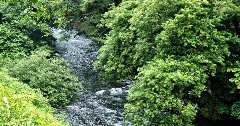 ブログ 事故 蔵川 玄 水難