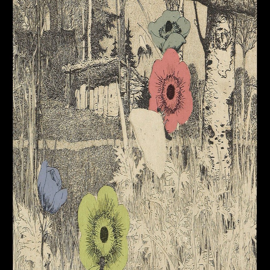 山中さわお（ex.the pillows）の解散後初ソロアルバム「あの花はどこに