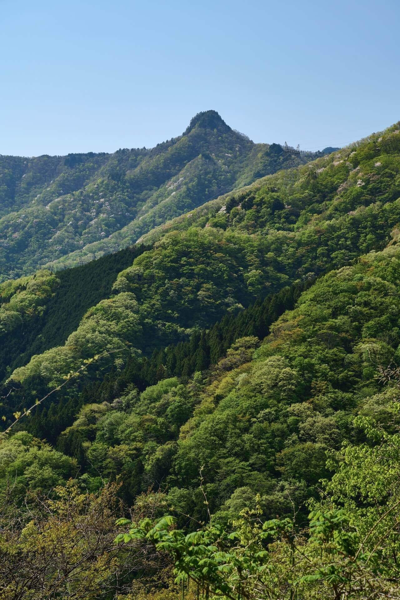 新品即決 登山とNikon Z7Ⅱ｜YUHYA 絵画