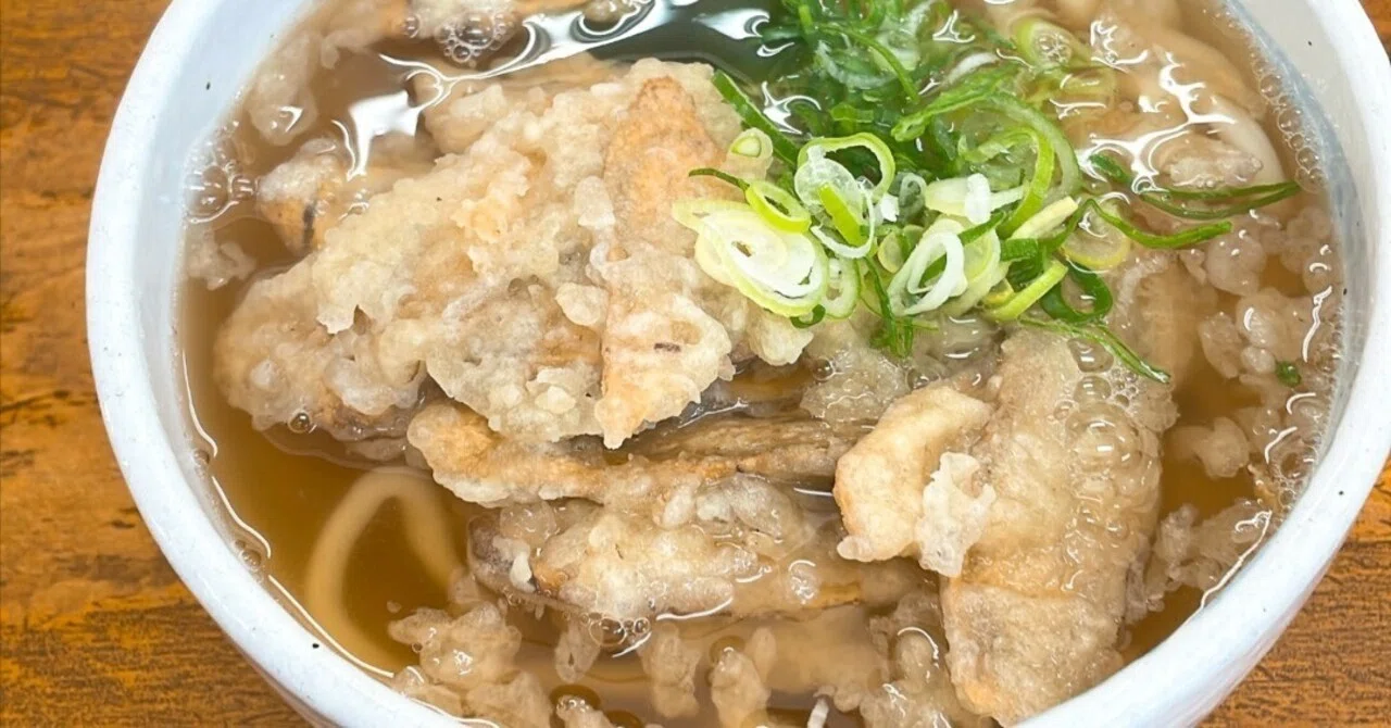 Tempura Udon 'Burdock Tempura Udon': A gentle soup and spicy